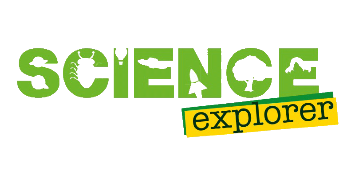 Science Explorer Johntoy