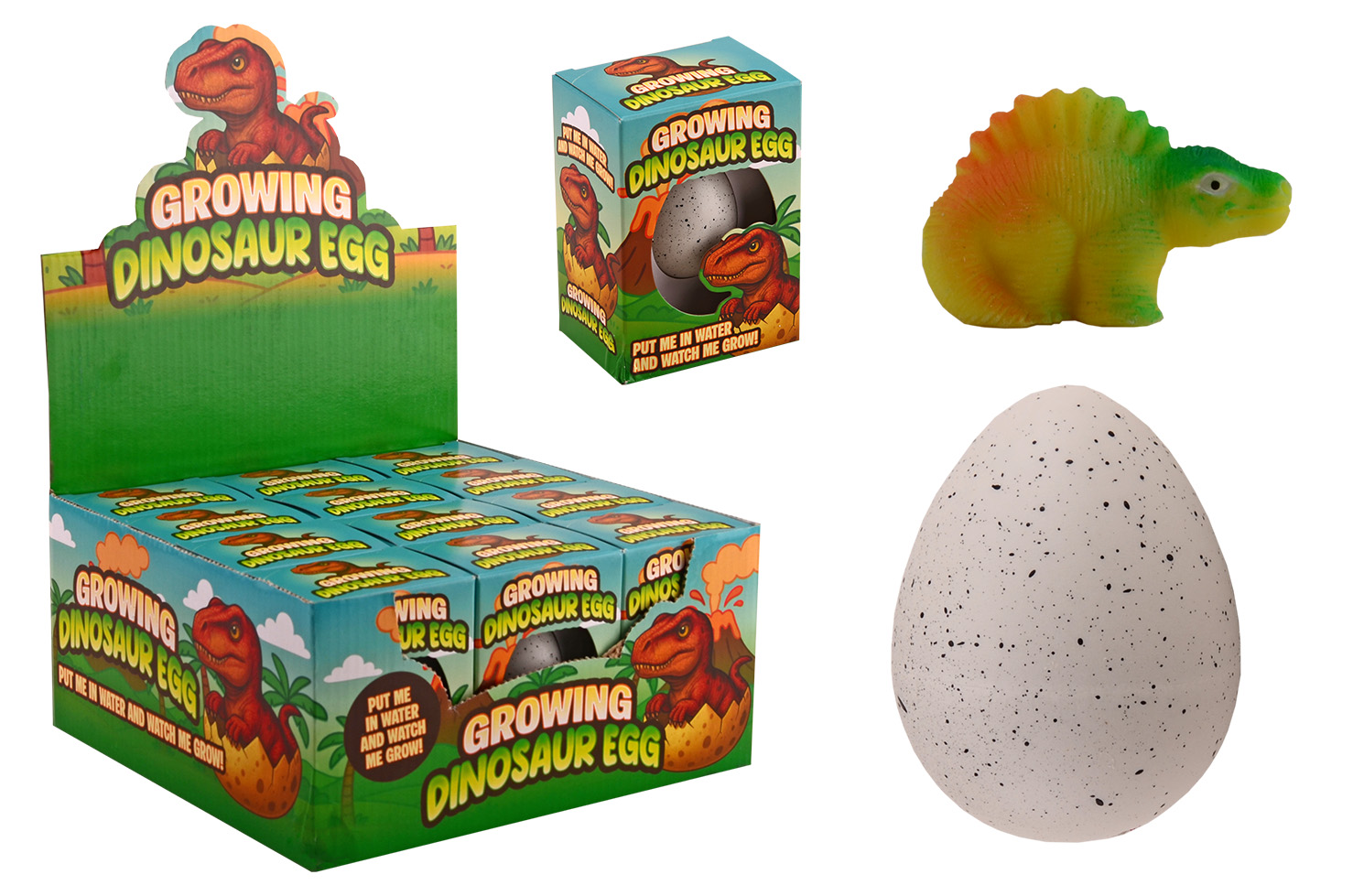 Growing Dino Egg in box 6 assorted