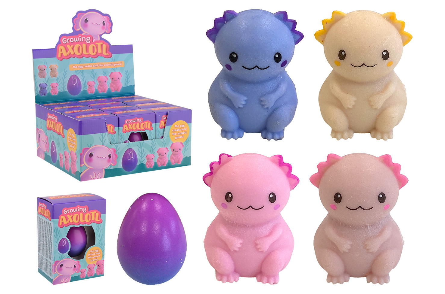 Growing Axolotl egg in box, 4 assorted